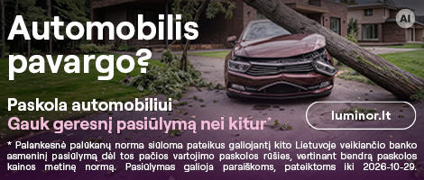 Nuotolinės paslaugos